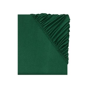 LIVARNO home Napínacia džersejová plachta, 180 – 200 x 220 cm (zelená)